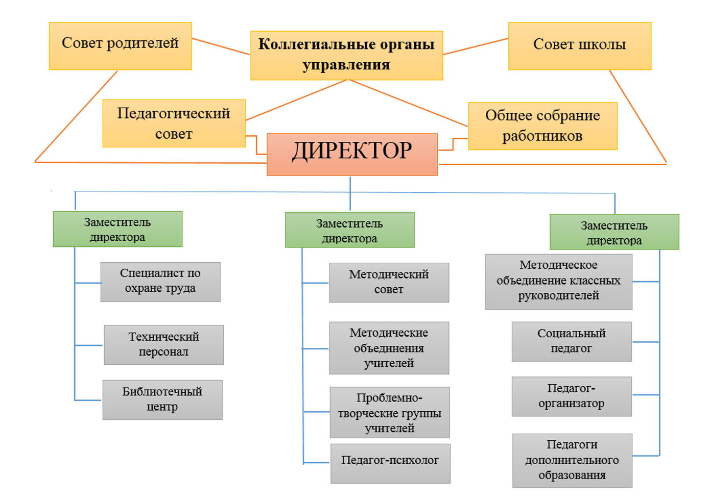 Структура управления ОО